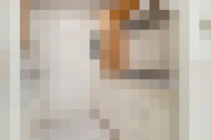 Rosmolen 14 De Lier thumbnail 12