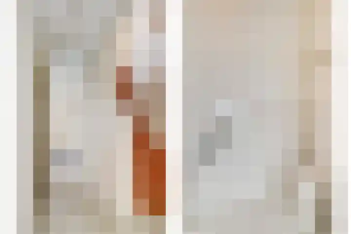 Rosmolen 14 De Lier thumbnail 13