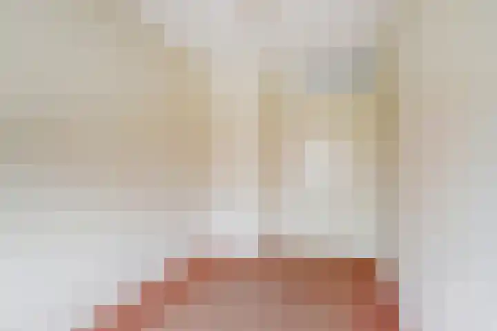 Rosmolen 14 De Lier thumbnail 20