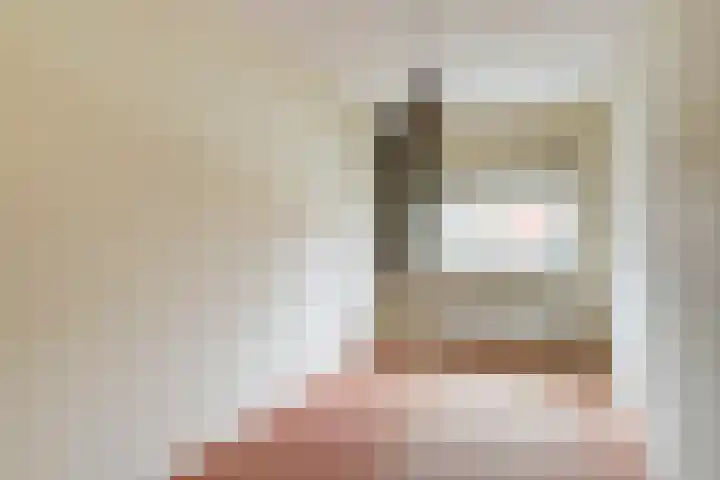 Rosmolen 14 De Lier thumbnail 21