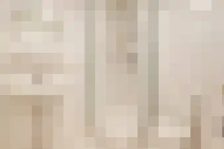 Rosmolen 14 De Lier thumbnail 24