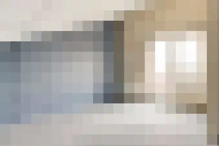 Rosmolen 14 De Lier thumbnail 25