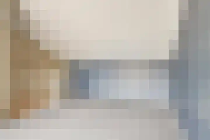 Rosmolen 14 De Lier thumbnail 26