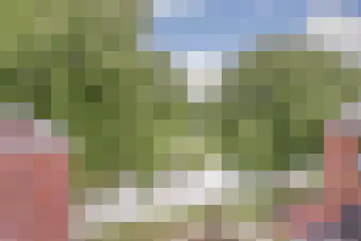 Rosmolen 14 De Lier thumbnail 28
