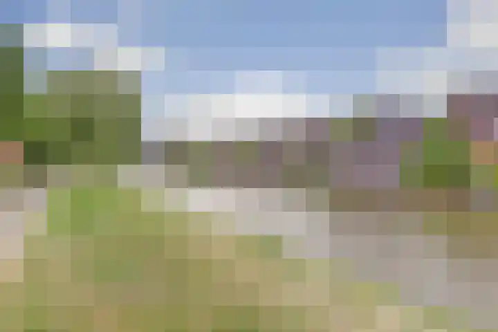 Rosmolen 14 De Lier thumbnail 31