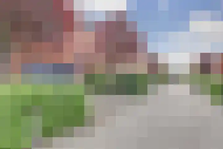 Rosmolen 14 De Lier thumbnail 33