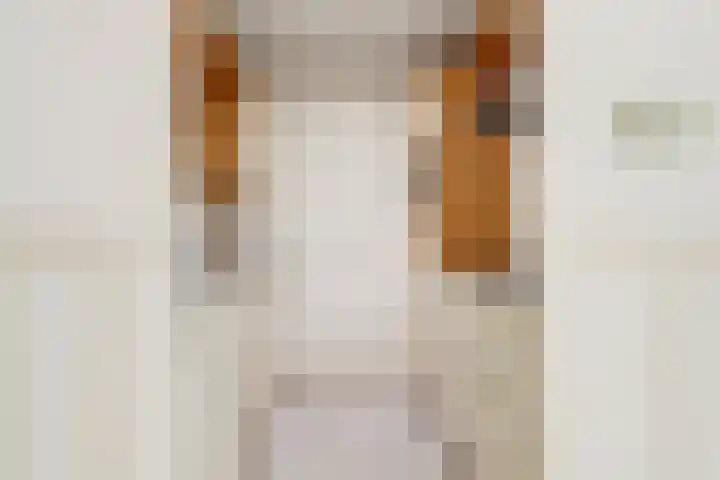 Rosmolen 14 De Lier thumbnail 6