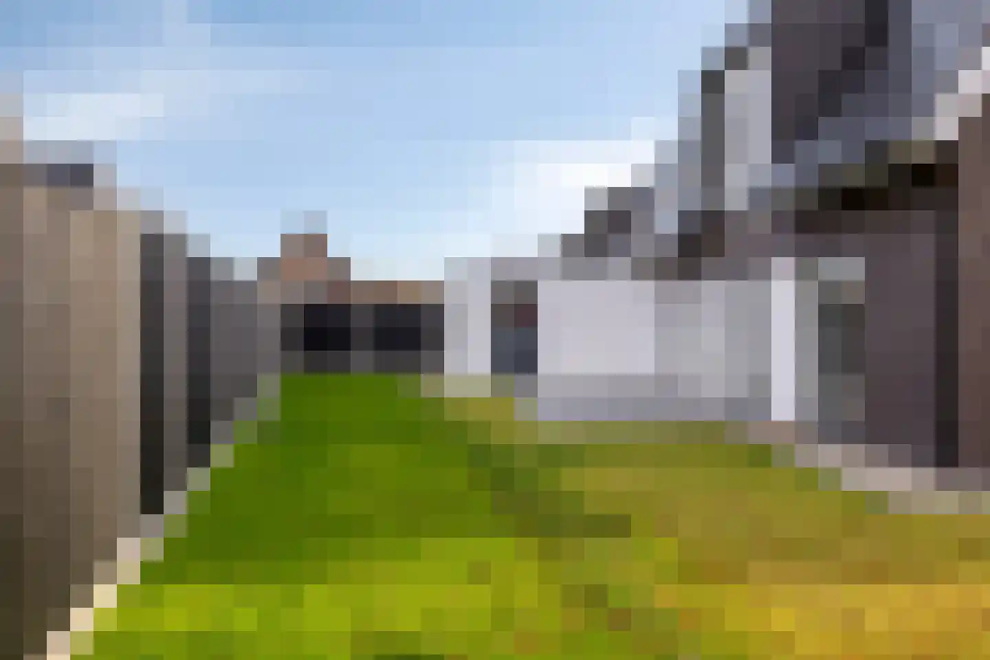 Rosmolen 14 de Lutte thumbnail 22