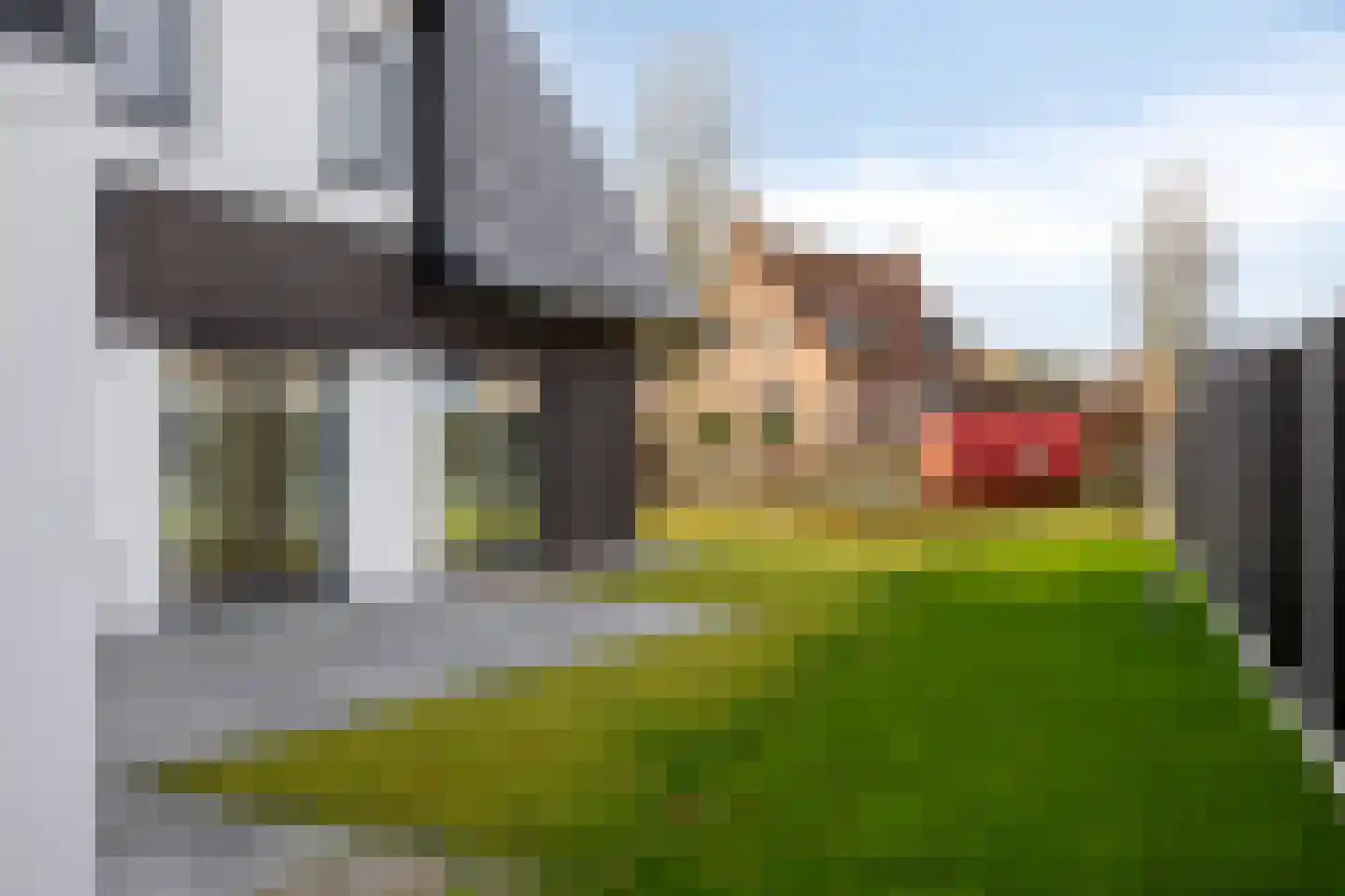 Rosmolen 14 de Lutte thumbnail 23