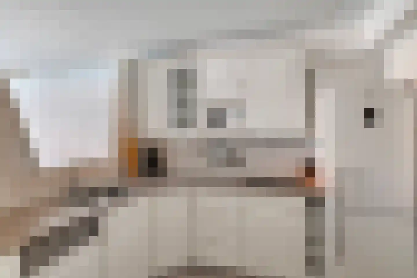 Rosmolen 152 Leiden thumbnail 21