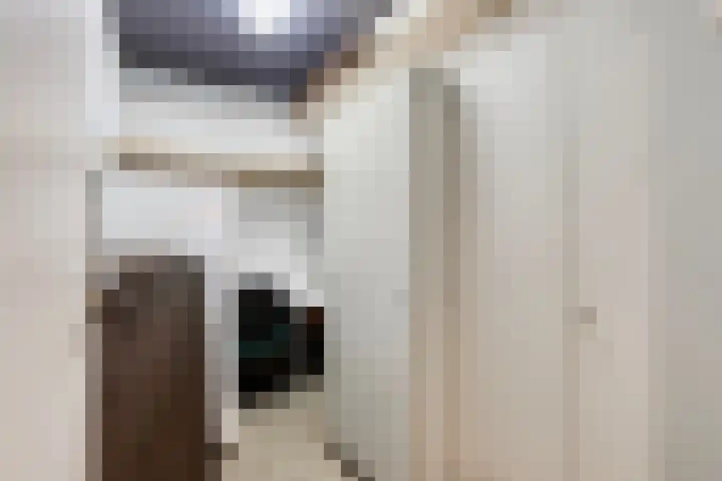 Rosmolen 152 Leiden thumbnail 33