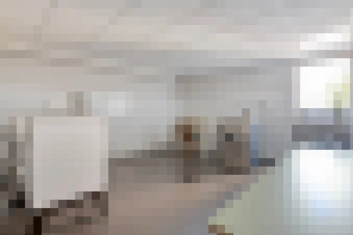 Rosmolen 152 Leiden thumbnail 35