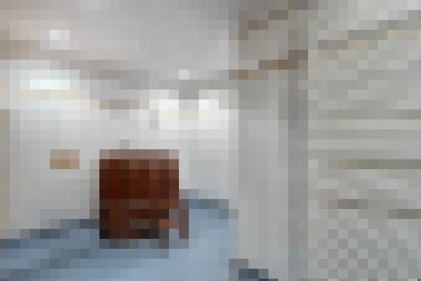 Rosmolen 152 Leiden thumbnail 36