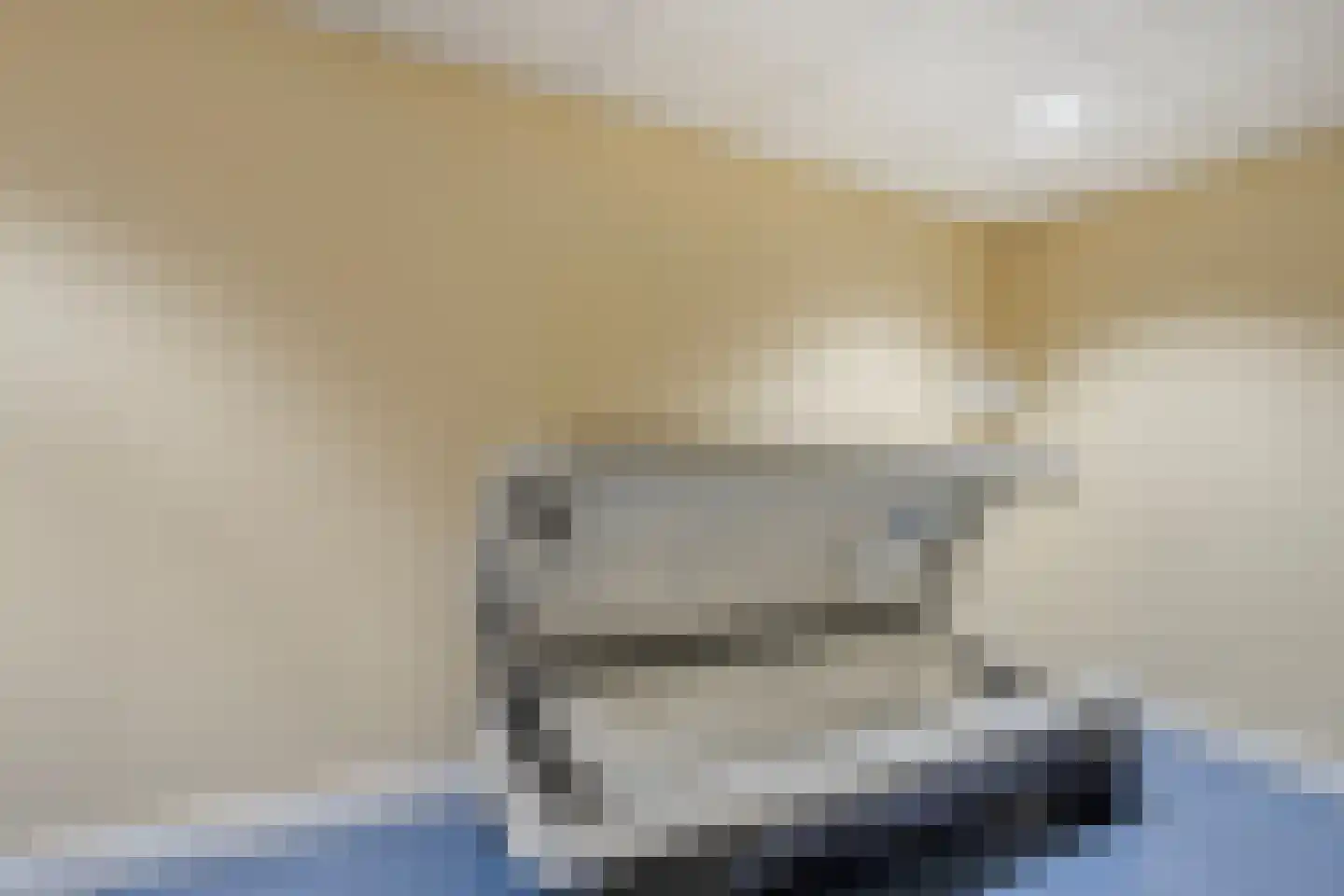 Rosmolen 152 Leiden thumbnail 37