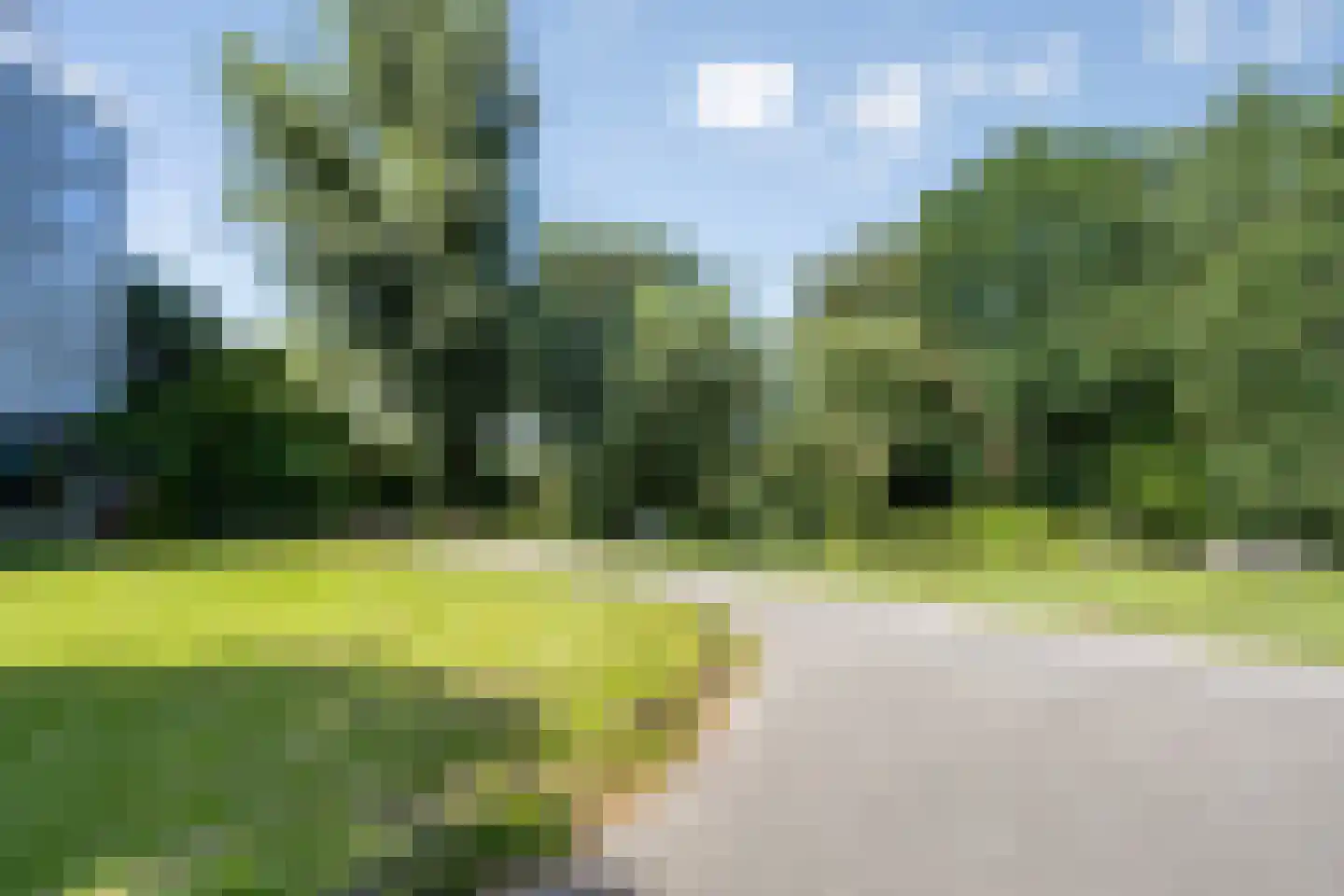 Rosmolen 152 Leiden thumbnail 38