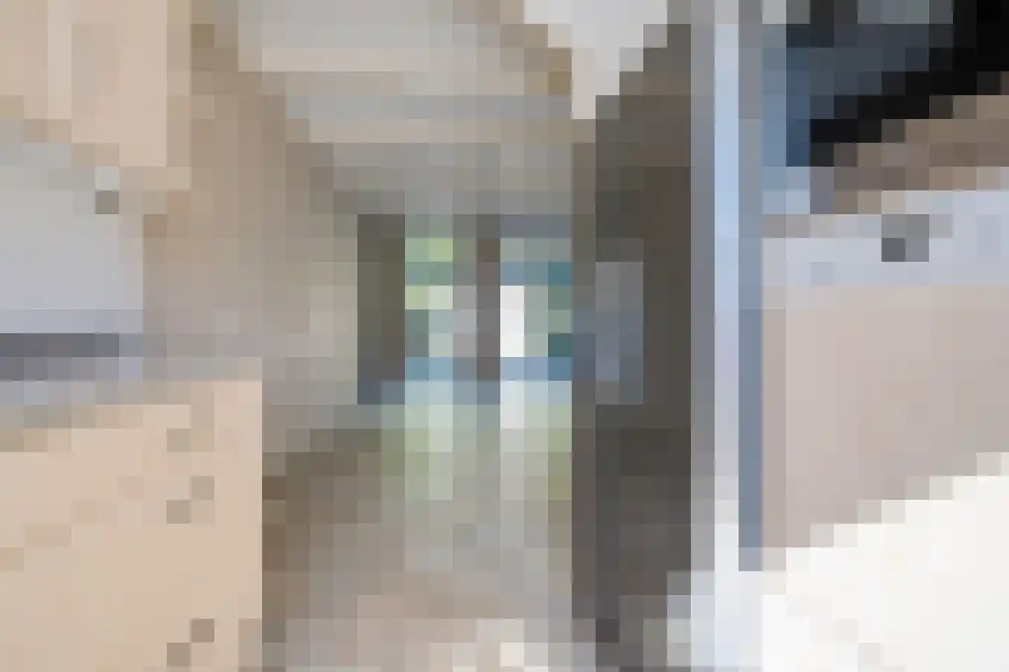 Rosmolen 16 Heerhugowaard thumbnail 16