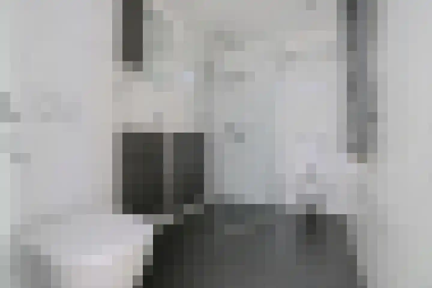Rosmolen 16 Heerhugowaard thumbnail 22