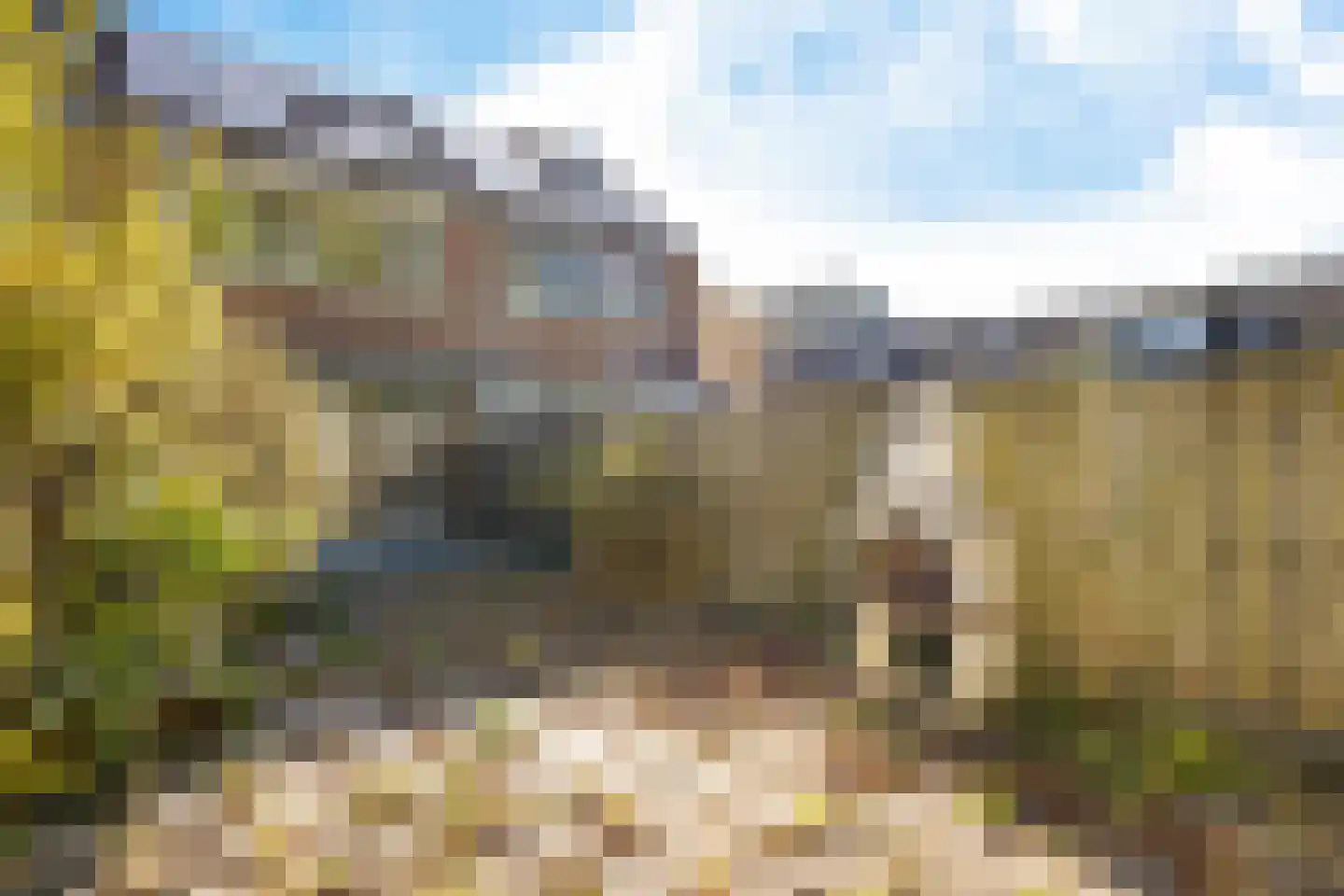 Rosmolen 16 Heerhugowaard thumbnail 38