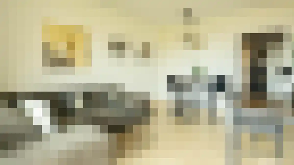 Rosmolen 168 Leiden thumbnail 6