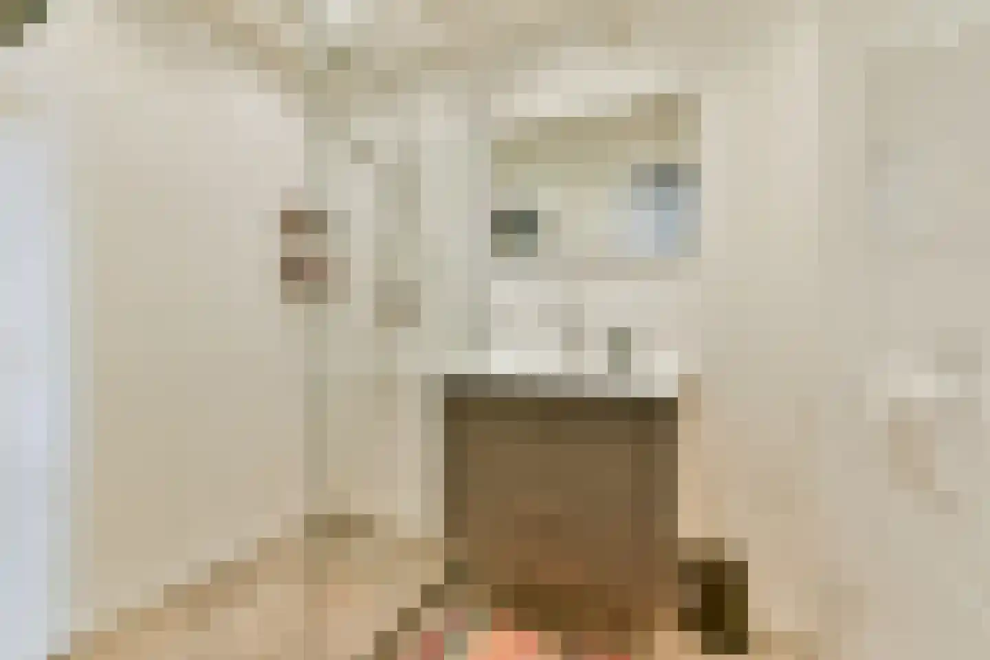 Rosmolen 170 Leiden thumbnail 14