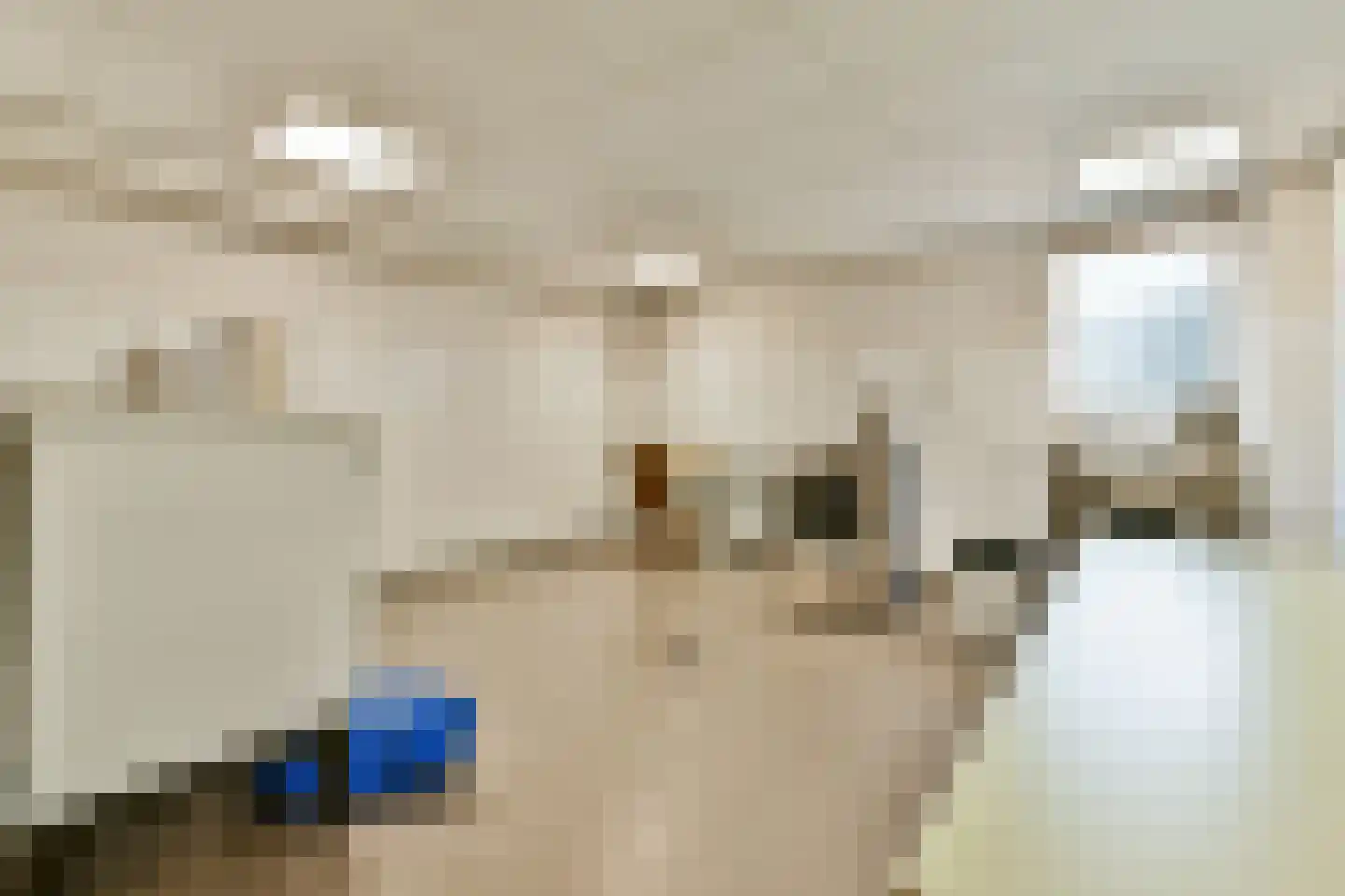 Rosmolen 170 Leiden thumbnail 16