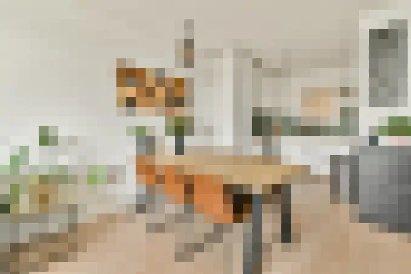 Rosmolen 170 Leiden thumbnail 7