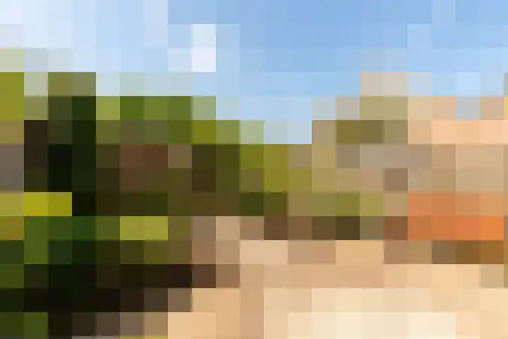 Rosmolen 175 Ridderkerk thumbnail 15