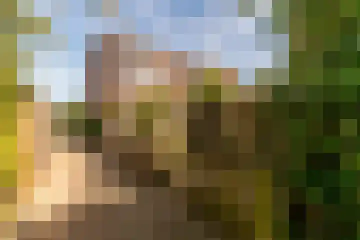 Rosmolen 175 Ridderkerk thumbnail 20