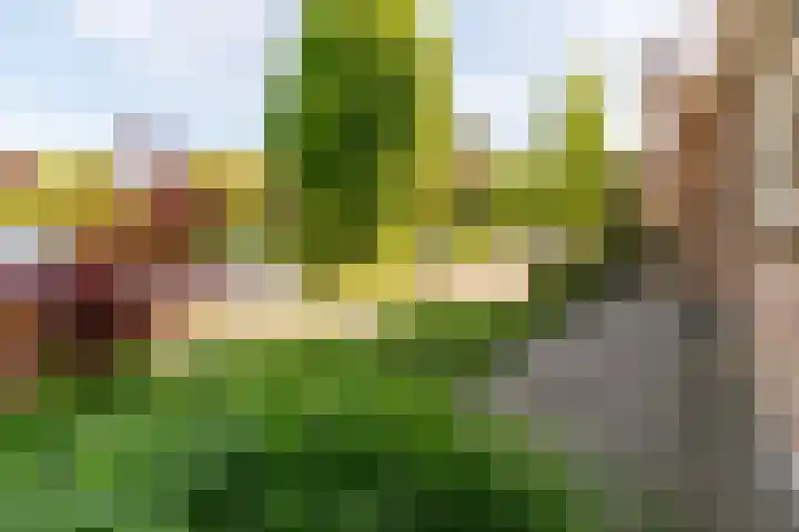 Rosmolen 175 Ridderkerk thumbnail 37