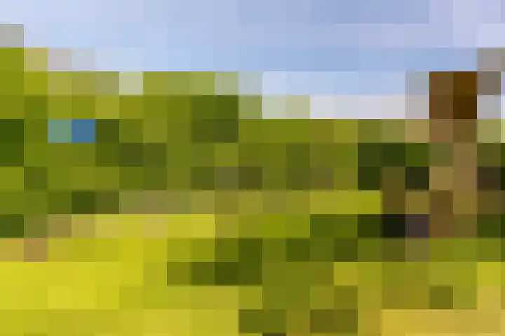 Rosmolen 175 Ridderkerk thumbnail 40
