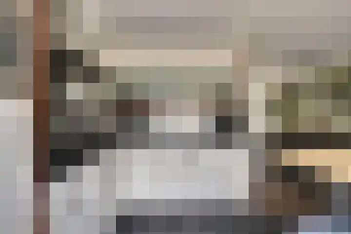 Rosmolen 18 Zevenbergen thumbnail 11