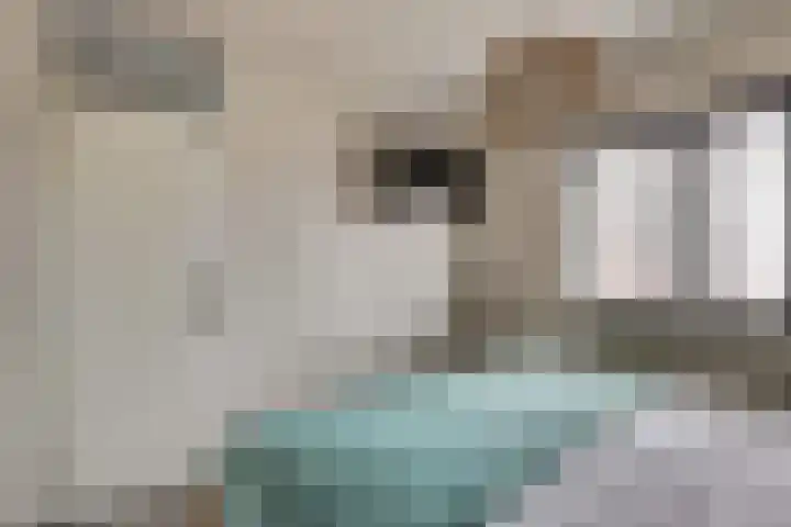 Rosmolen 18 Zevenbergen thumbnail 16