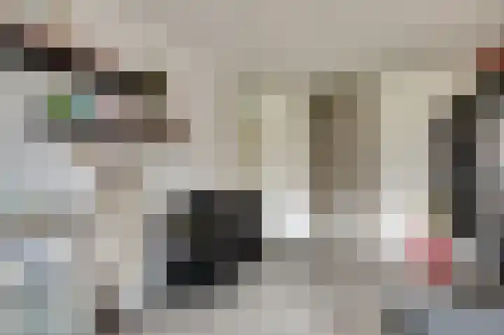 Rosmolen 18 Zevenbergen thumbnail 19