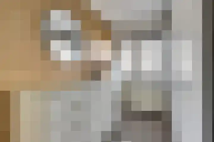 Rosmolen 18 Zevenbergen thumbnail 21