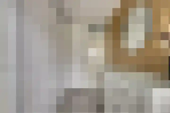 Rosmolen 18 Zevenbergen thumbnail 22