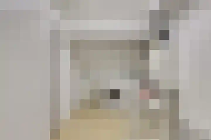 Rosmolen 18 Zevenbergen thumbnail 28