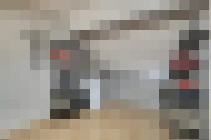 Rosmolen 18 Zevenbergen thumbnail 30