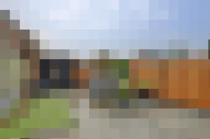 Rosmolen 18 Zevenbergen thumbnail 32