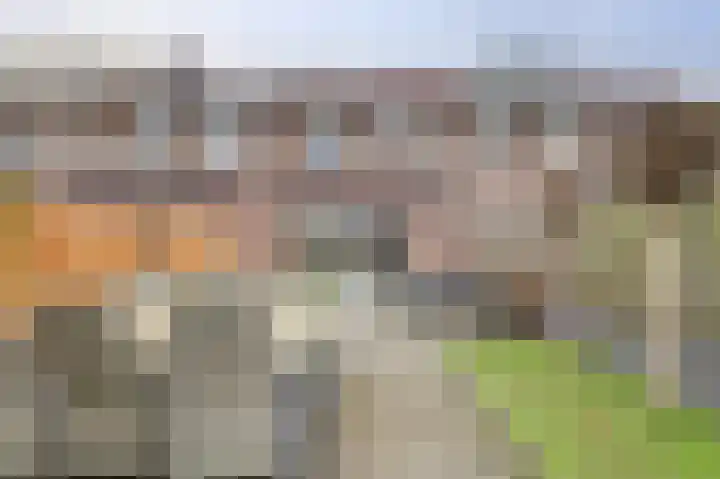 Rosmolen 18 Zevenbergen thumbnail 33