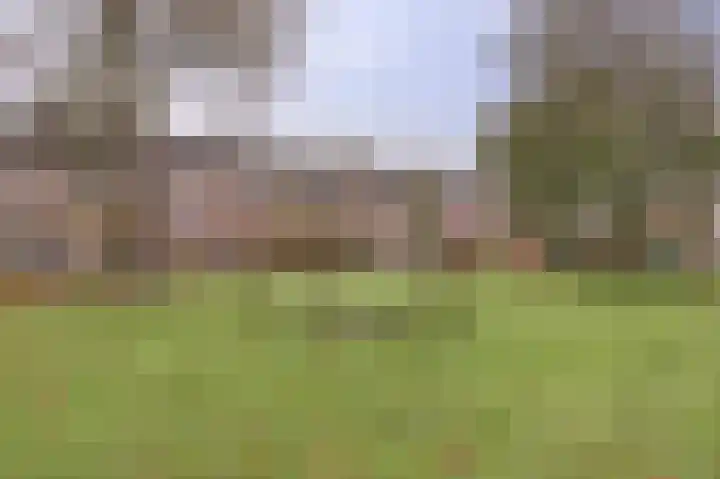 Rosmolen 18 Zevenbergen thumbnail 34