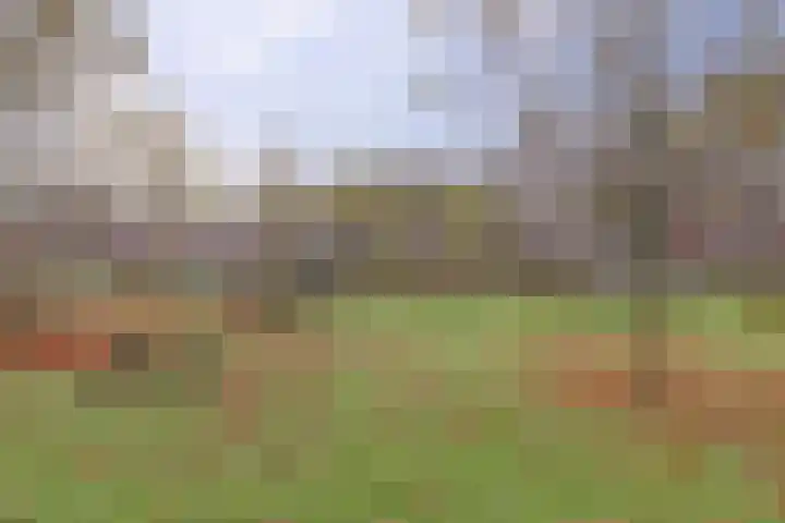 Rosmolen 18 Zevenbergen thumbnail 35