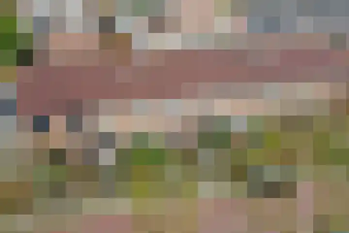 Rosmolen 18 Zevenbergen thumbnail 37