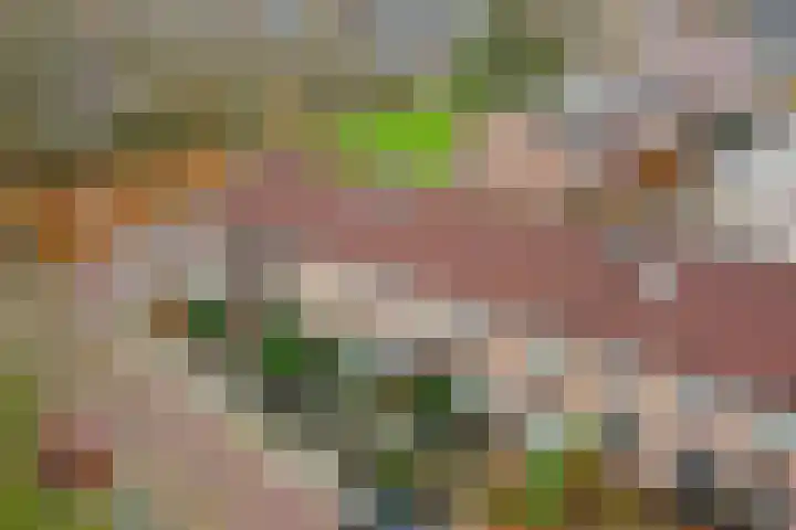 Rosmolen 18 Zevenbergen thumbnail 38