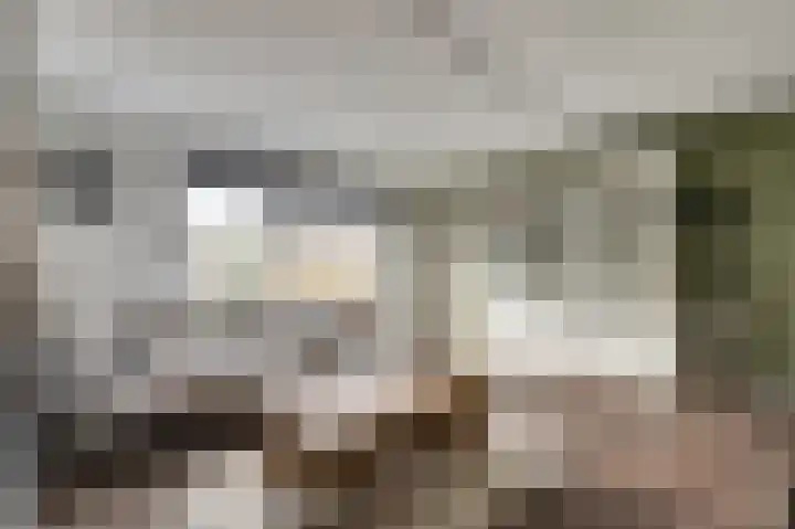 Rosmolen 18 Zevenbergen thumbnail 4
