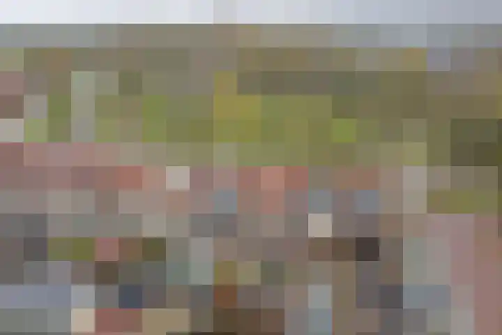 Rosmolen 18 Zevenbergen thumbnail 40