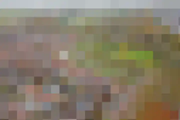 Rosmolen 18 Zevenbergen thumbnail 41