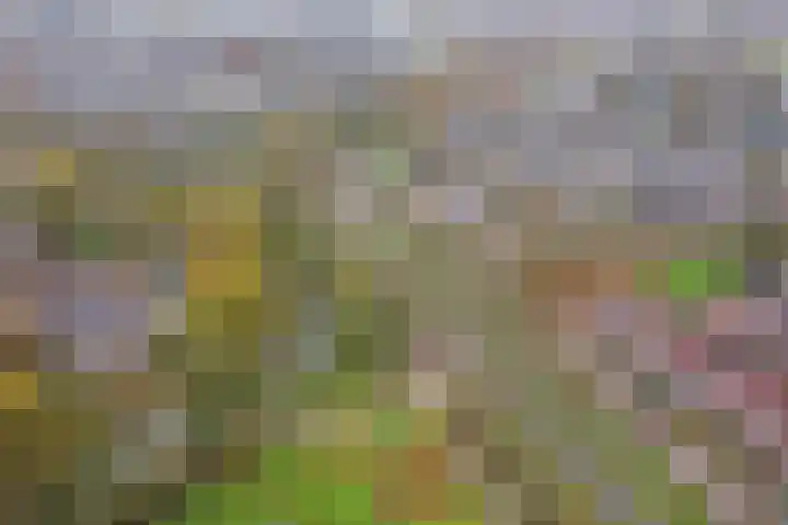 Rosmolen 18 Zevenbergen thumbnail 42