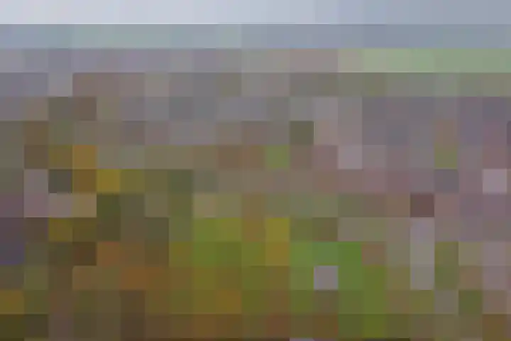 Rosmolen 18 Zevenbergen thumbnail 43