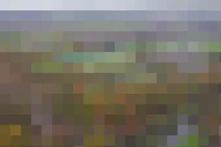Rosmolen 18 Zevenbergen thumbnail 44