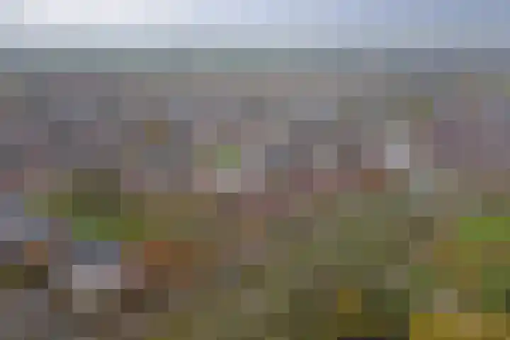 Rosmolen 18 Zevenbergen thumbnail 45